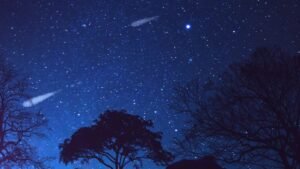 A Beginner's Guide to Meteor Showers Read more about the article A Beginner’s Guide to Meteor Showers