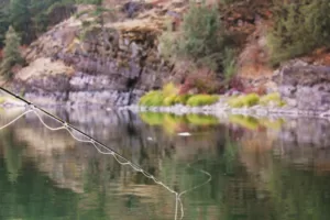 Unbeatable Missoula Fishing Hotspots Read more about the article Unbeatable Missoula Fishing Hotspots